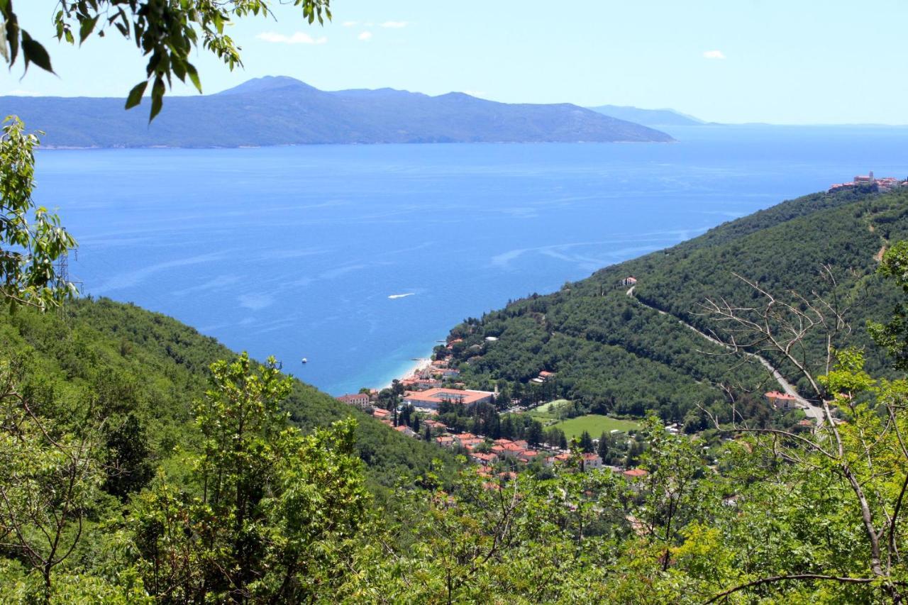 Apartments With A Parking Space Moscenicka Draga, Opatija - 7766 Esterno foto